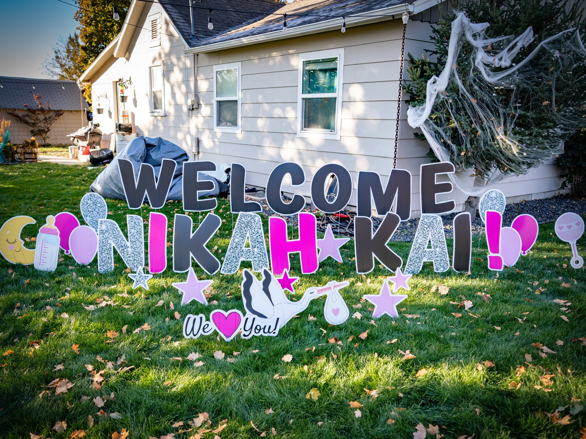 Baby & Gender Reveal yard card display in Boise Idaho