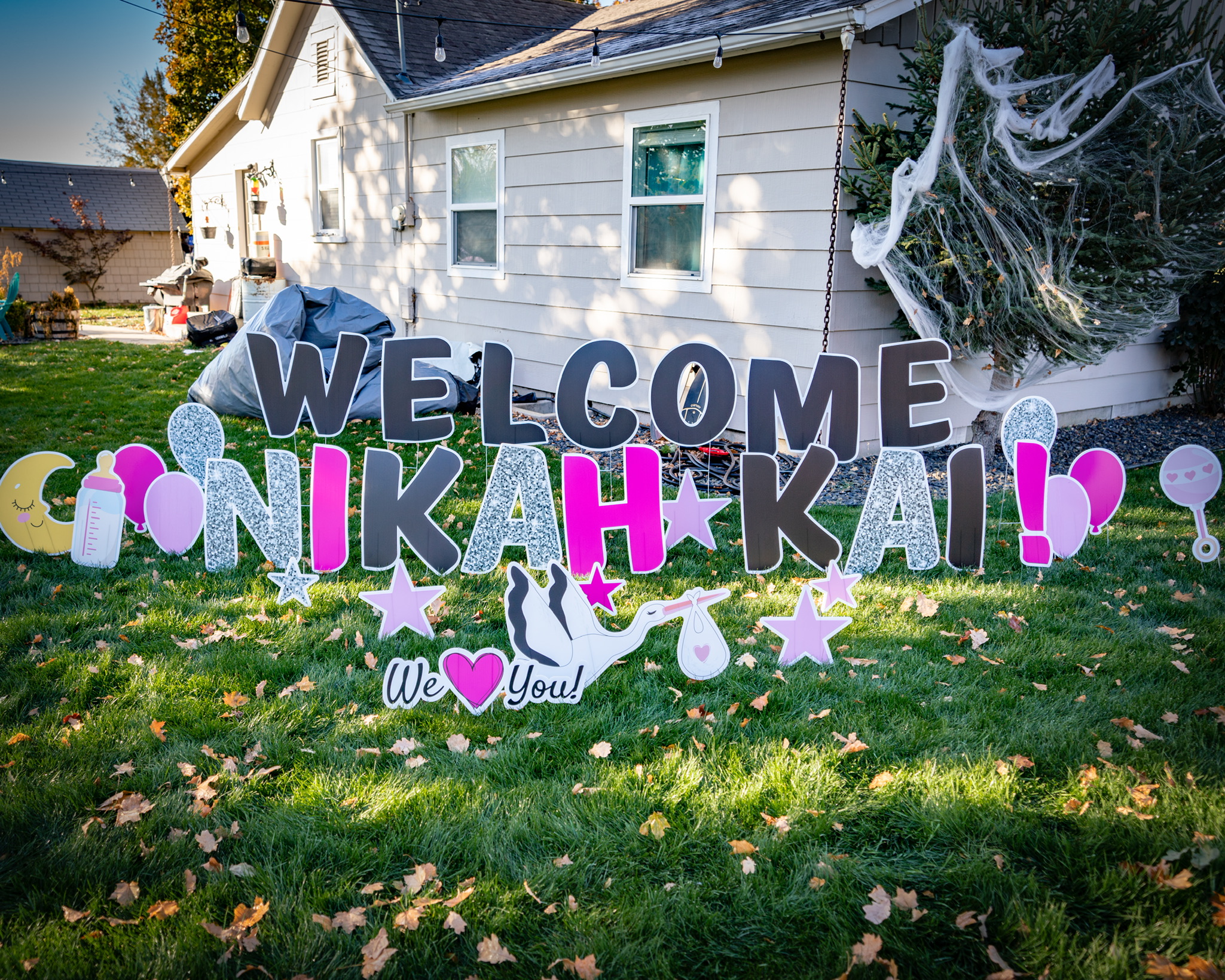 Baby shower welcome pink glitter yard card display with stork and celebration art in Boise Idaho