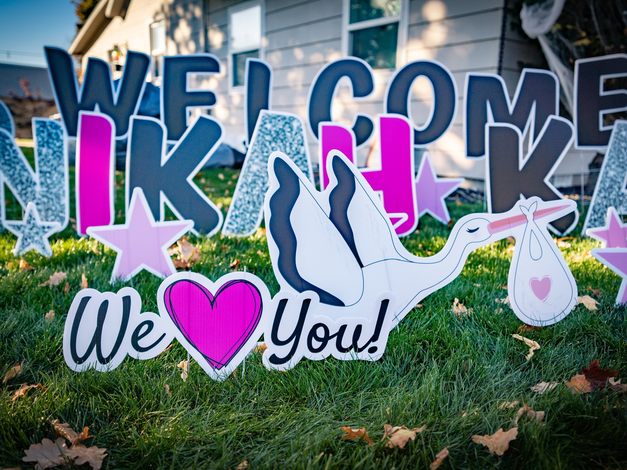 Baby shower welcome yard card display close-up showing stork We Love You and pink glitter letters in Boise Idaho